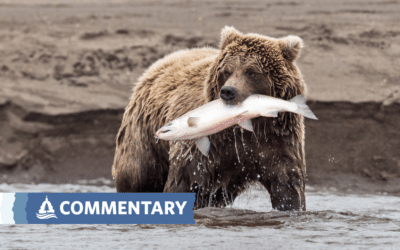 COMMENTARY | Biden’s 30X30 Conservation Plan Falls Far Short of What Is Needed