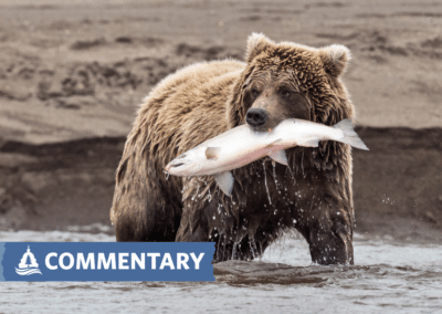 COMMENTARY | Biden’s 30X30 Conservation Plan Falls Far Short of What Is Needed