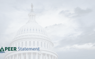 STATEMENT | The Musk-Ramaswamy Plan to Overhaul Government