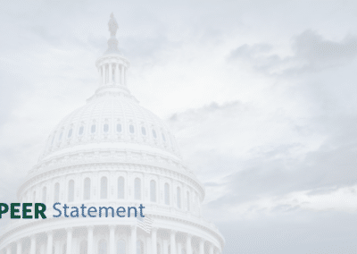 STATEMENT | The Musk-Ramaswamy Plan to Overhaul Government