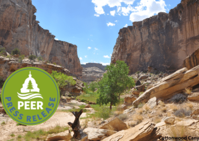 Lawsuit to Safeguard Old Spanish National Historic Trail