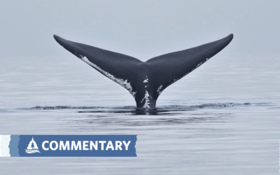 COMMENTARY | Three Things You May Have Missed About Project 2025