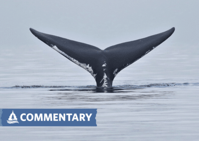 COMMENTARY | Three Things You May Have Missed About Project 2025