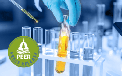 Don’t Cede Chemical Safety to Chemical Manufacturers