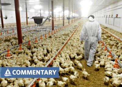 COMMENTARY | Trump’s Actions Are Undermining Our Response to Bird Flu – That is a Big Cause for Concern