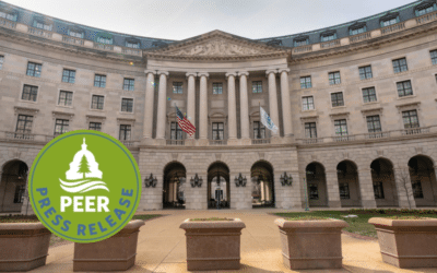 EPA’s Zeldin Must Reveal Musk Ties