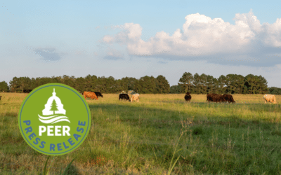 Texas County Seeks Federal Aid for PFAS Contamination