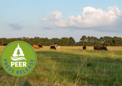 Texas County Seeks Federal Aid for PFAS Contamination