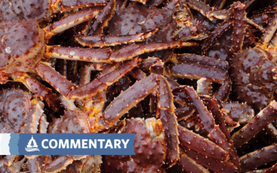 COMMENTARY | Overlooking the Obvious: Red King Crab Collapse Due to Overfishing