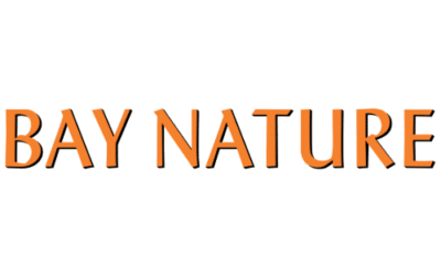 Trump Is Destroying Historic Environmental Regulation—And Marin Audubon’s Name Got (Arbitrarily) Caught Up In It