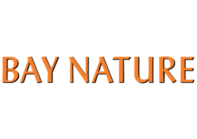 Trump Is Destroying Historic Environmental Regulation—And Marin Audubon’s Name Got (Arbitrarily) Caught Up In It