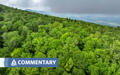 COMMENTARY | National Parks or Jurassic Parks? Conservation Trump Style