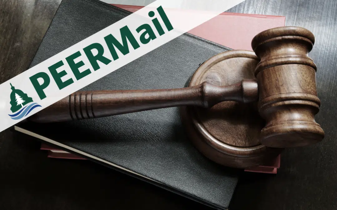 PEERMail | Protecting the Rule of Law