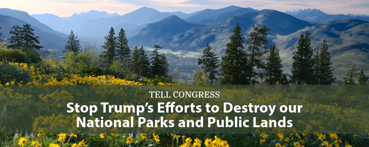 Petition Letter Banner-1-public lands sell off