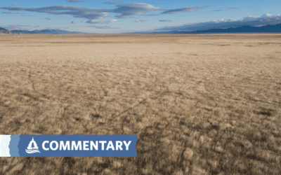 COMMENTARY | Pesticides on Public Lands: A Short-Term Solution with Long-Term Harm