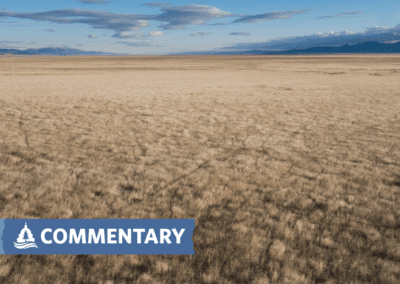 COMMENTARY | Pesticides on Public Lands: A Short-Term Solution with Long-Term Harm