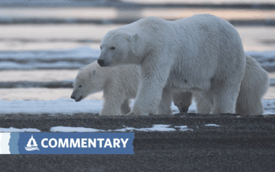 COMMENTARY | The Time Has Come to Establish the International Arctic Ocean Sanctuary
