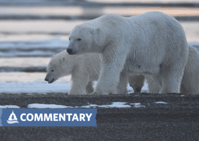 COMMENTARY | The Time Has Come to Establish the International Arctic Ocean Sanctuary