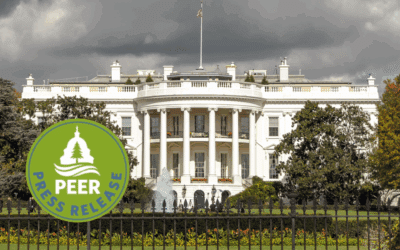 Trump Political Litmus Test for New Hires Is Illegal