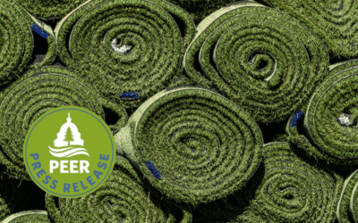 Artificial Turf Company Hit with Big SLAPP Suit