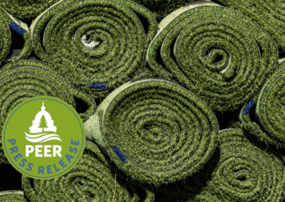 Artificial Turf Company Hit with Big SLAPP Suit