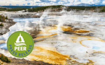 Yellowstone Ensnared in Fiber-Optic Cable Boondoggle