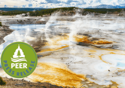 Yellowstone Ensnared in Fiber-Optic Cable Boondoggle