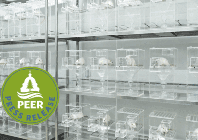 EPA Putting Lab Animals Up for Adoption