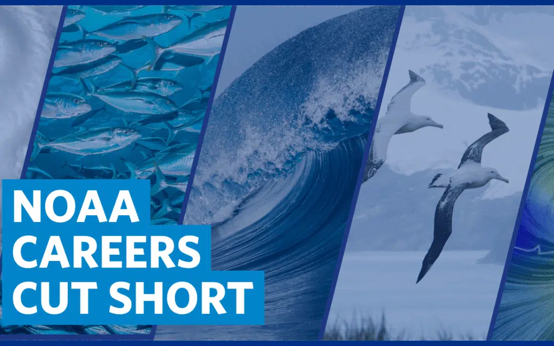 NOAA Careers Cut Short