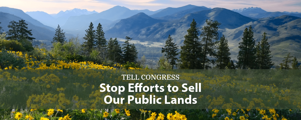 Petition Letter Banner-1-stop public lands sale