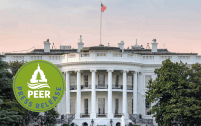 Trump Blinks on Loyalty Oath Essays for Job Applicants