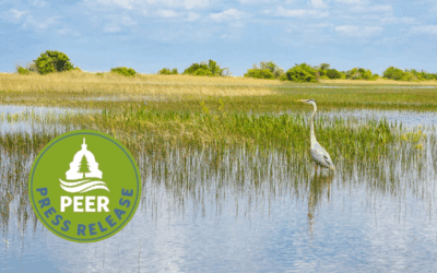 Florida Eco-Enforcement Sees Modest Uptick in 2024