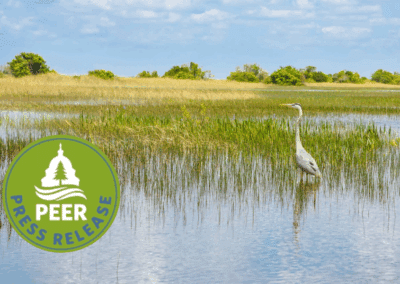 Florida Eco-Enforcement Sees Modest Uptick in 2024