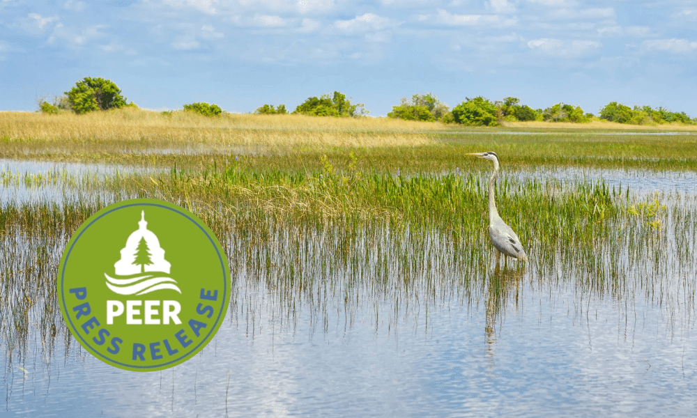 Florida Eco-Enforcement Sees Modest Uptick in 2024