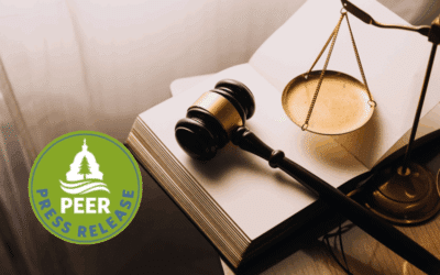 Civil Service Appeal Backlog Ballooning Again