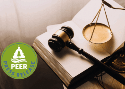 Civil Service Appeal Backlog Ballooning Again