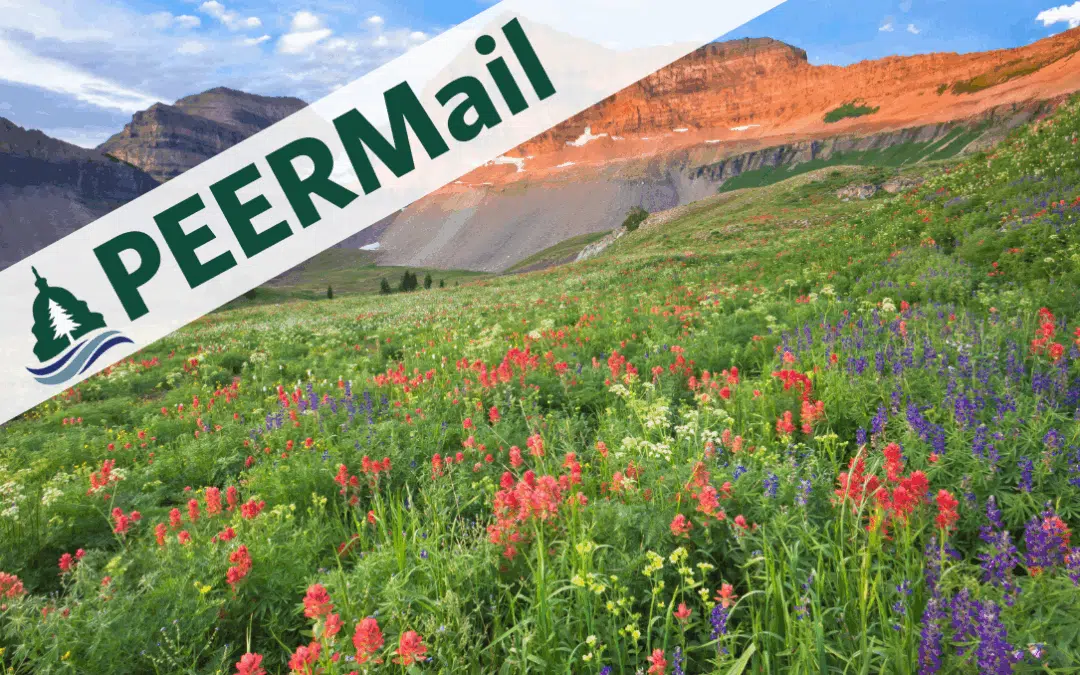 PEERMail | More Victories and Challenges