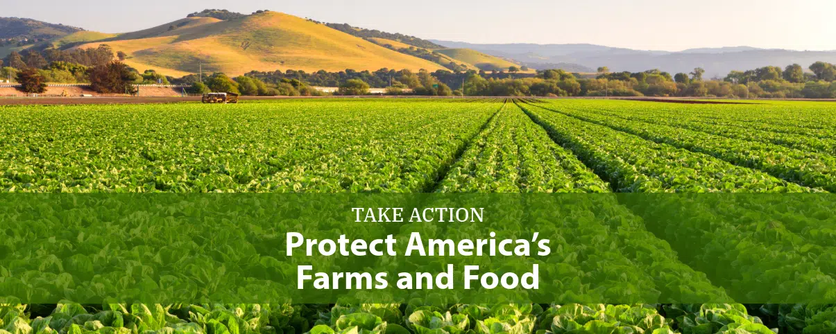 Petition Letter Banner-1-protect farms food