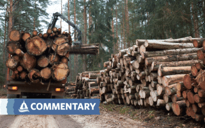 COMMENTARY | Redefining the US Forest Service Mission