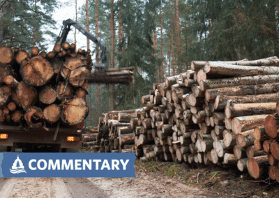 COMMENTARY | Redefining the US Forest Service Mission