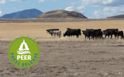 Nevada in Drought, BLM Silent