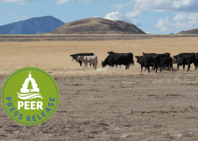 Nevada in Drought, BLM Silent