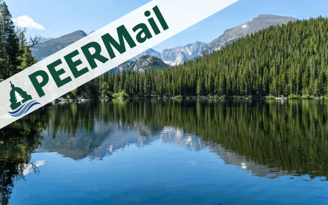 PEERMail | What We’ve Been Up To
