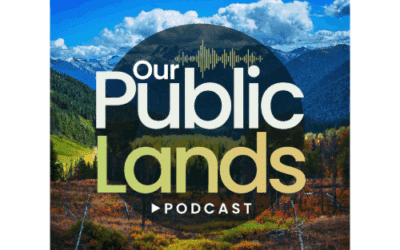 #43 – Protecting Whistleblowers and Public Employees w/ Tim Whitehouse