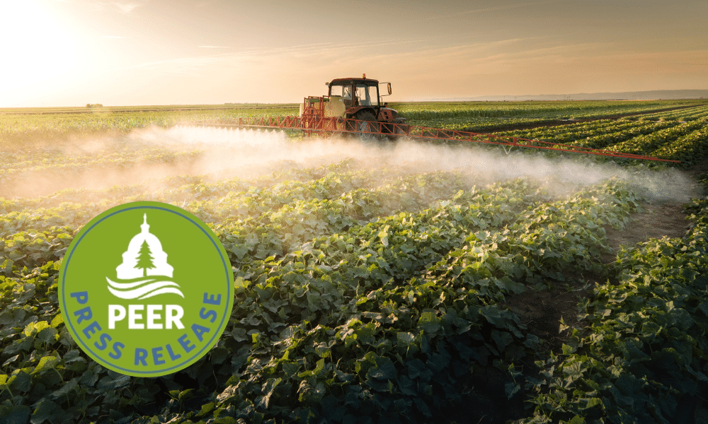 Epa Rin Fraud EPA Perpetuates Scientific Fraud in Pesticide Cancer Risks
