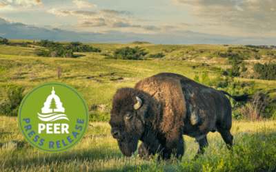 Ban on Rushmore and Badlands Air Tours Upheld