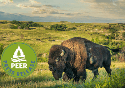 Ban on Rushmore and Badlands Air Tours Upheld