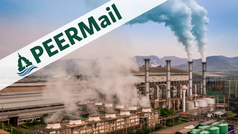 PEERMail | Climate In Danger