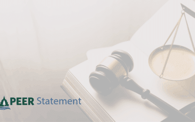 STATEMENT | Federal Court Ruling Halting Illegal Firings of Federal Workers