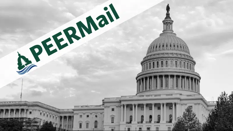 PEERMail | Unprecedented Shutdown and More News